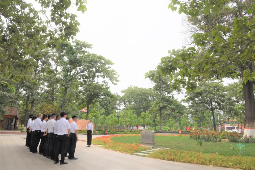 1625197354857508.jpg 3.jpg