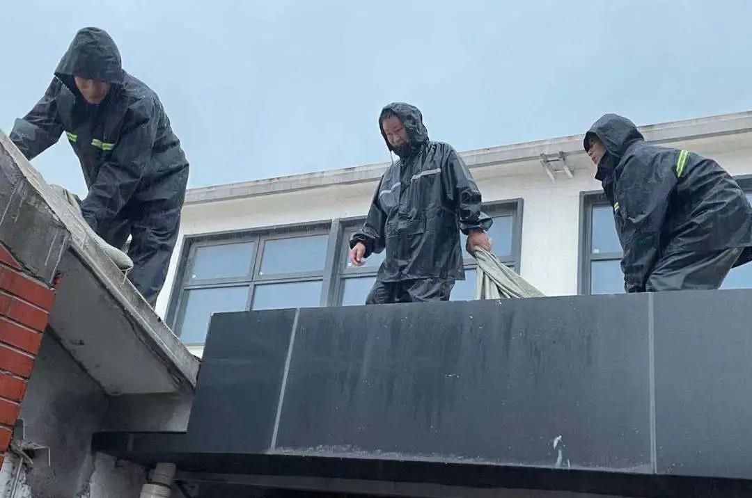 1627368565170029.jpg 1.jpg