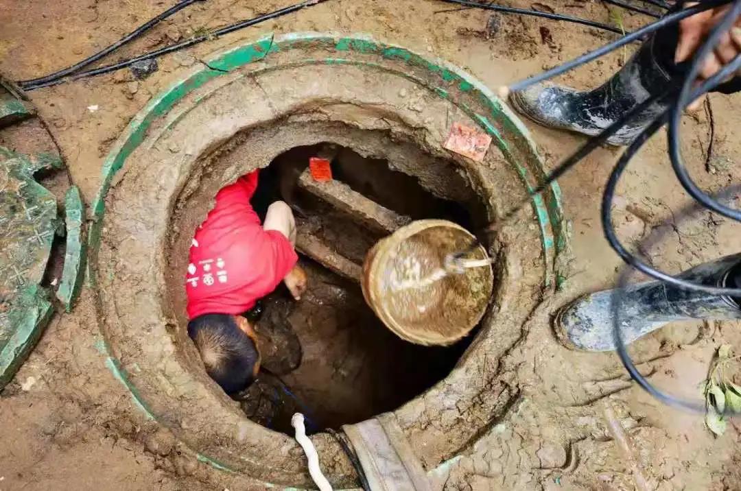 1627370426462418.jpg 16.jpg