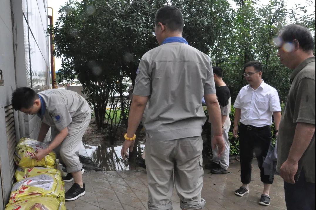 1627372034102831.jpg 23.jpg