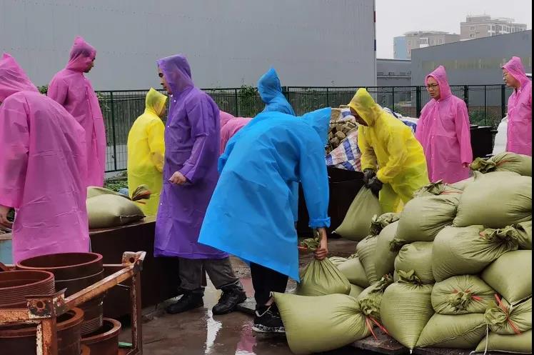 1627372271157815.jpg 30.jpg