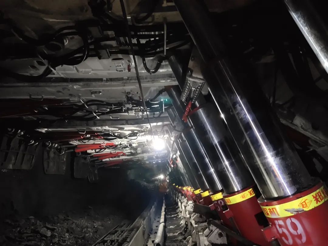 1657412496101326.jpg 3.jpg