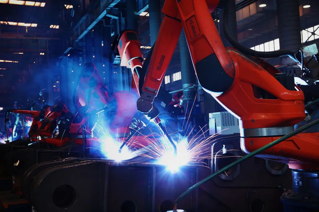 1704866603122332.jpg 5.jpg